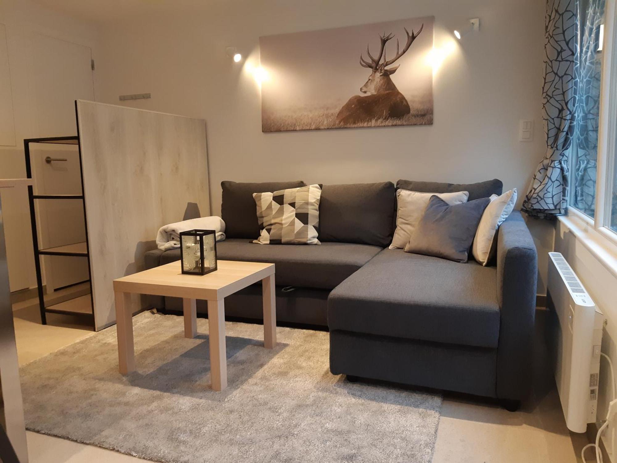 Terrasses De Malmedy F&L Triplex 214 Et Studio 320 Et 317 Et Studio Superieur 340 Pokoj fotografie